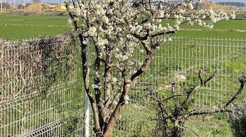 Photo 5 of Single-family semi-detached for sale in De Movera, Movera,  Zaragoza Capital