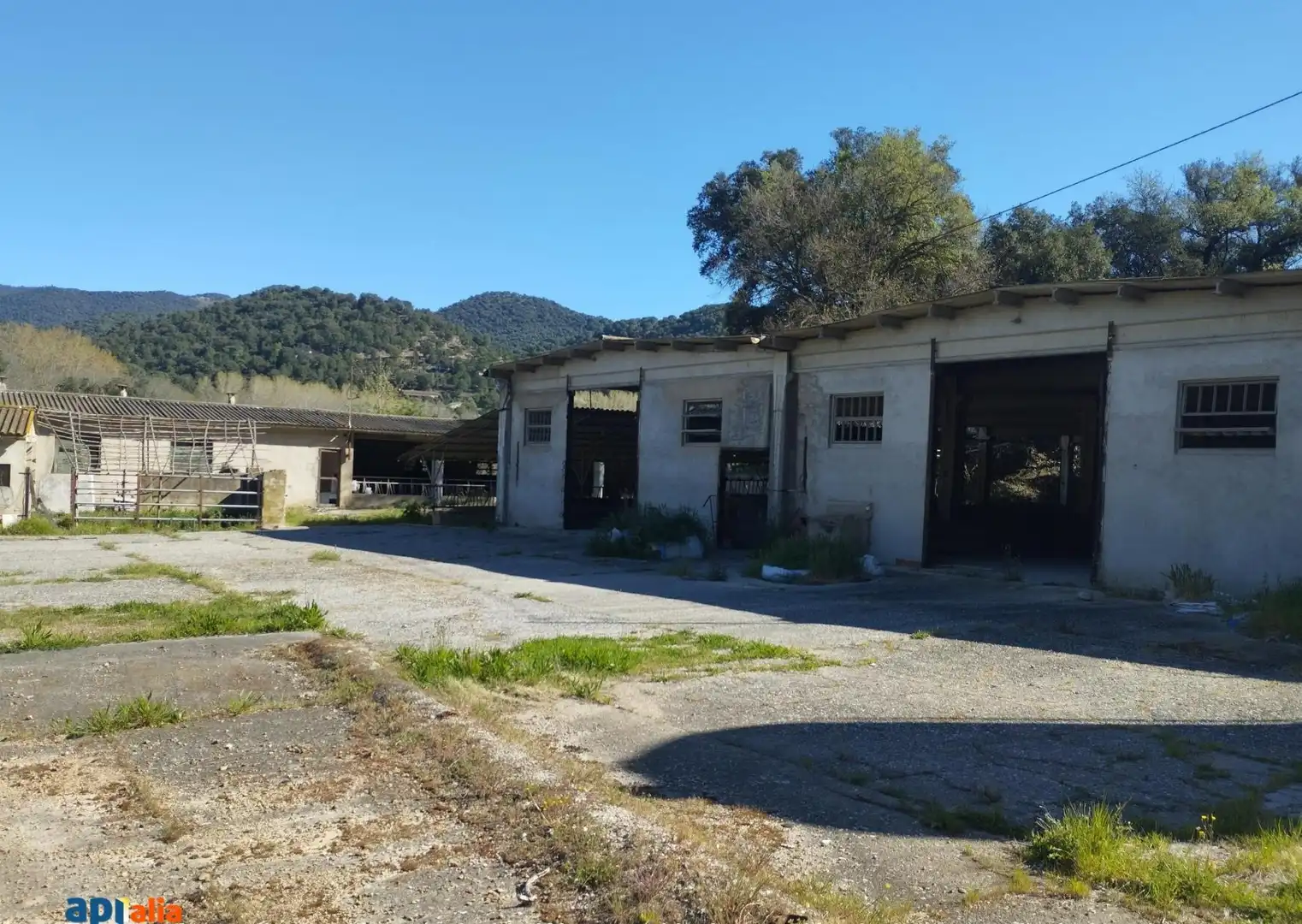 Vista exterior de Finca rústica en venta en Massanes
