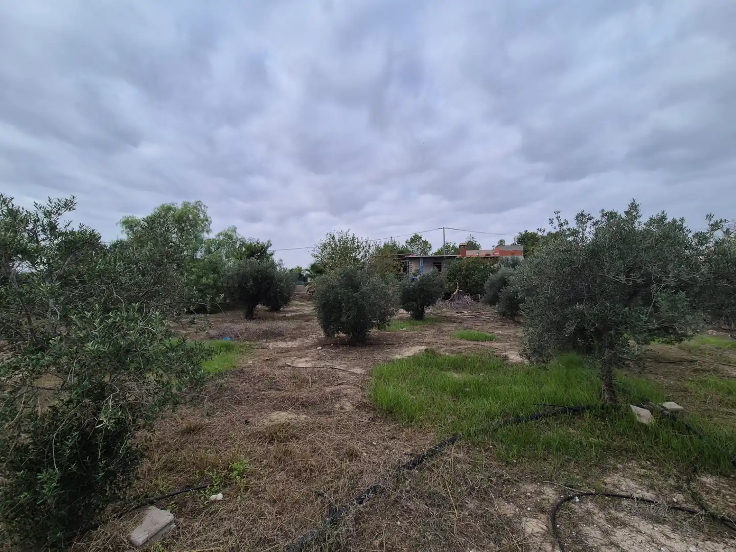 Finca rústica en venda en Las Torres de Cotillas amb Jardí privat, Terrassa i Traster