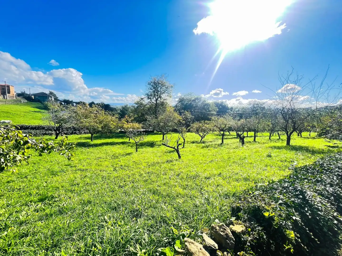 Casa o xalet en venda en Llanera amb Traster