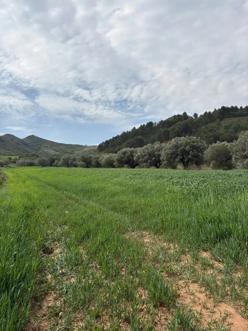 Terreno rústico en venta en Lardero, imagen 4