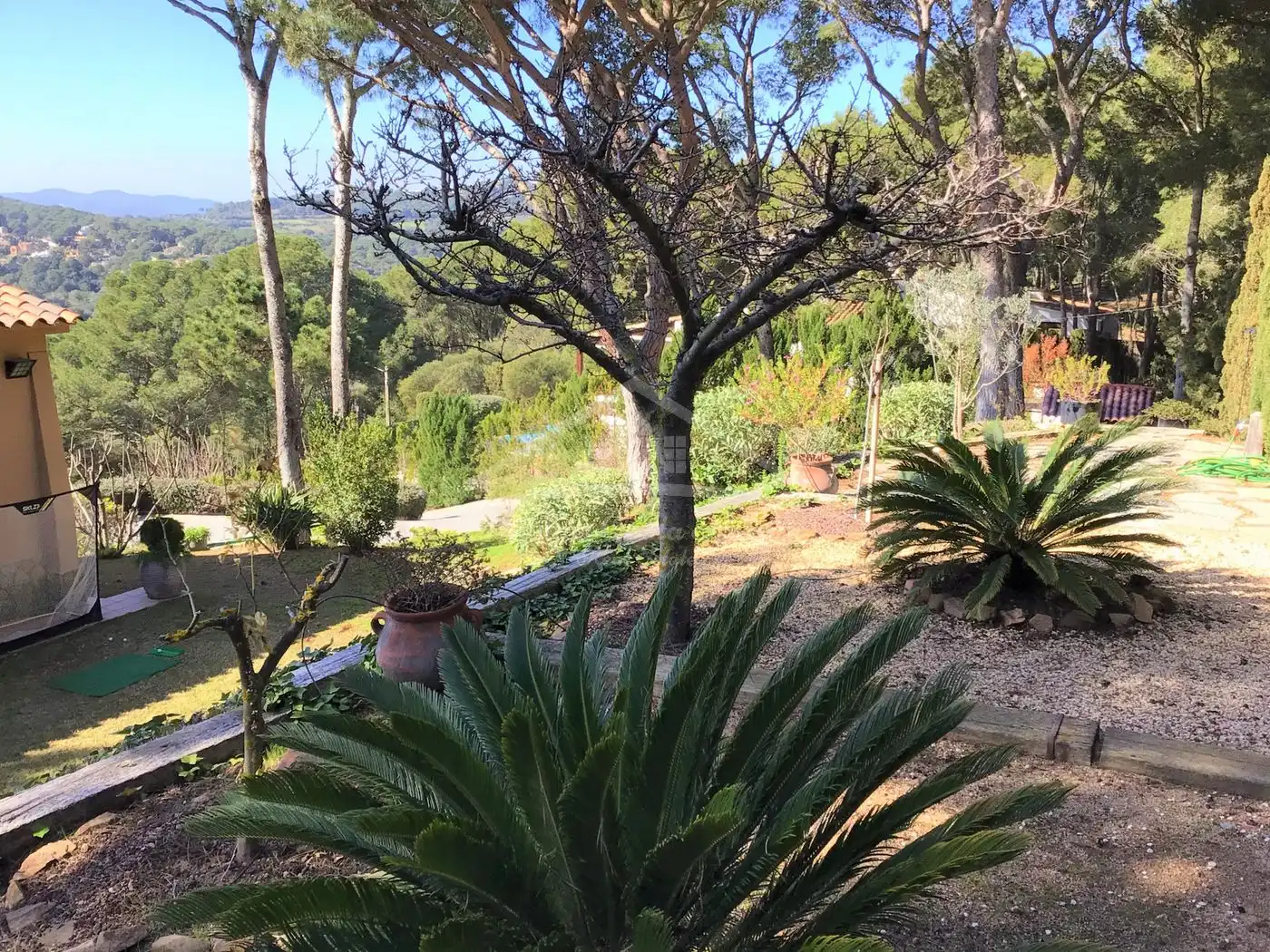 Jardí de Casa o xalet en venda en Palafrugell amb Terrassa, Traster i Piscina