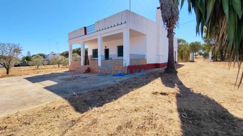 Foto 2 de Finca rústica en venda a Lucena del Puerto, Huelva