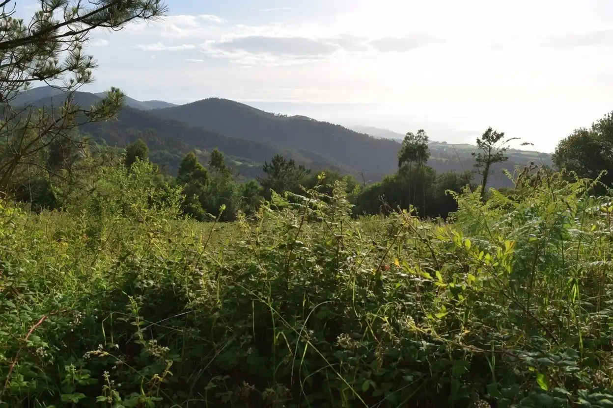 Casa o chalet en venta en Cudillero