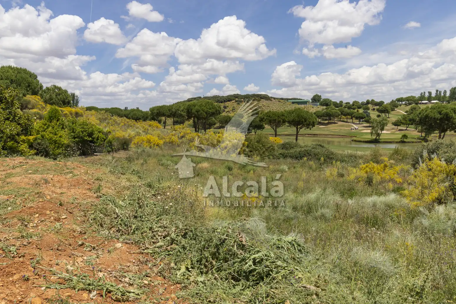 Terreny rústic en venda a Cabanillas del Campo, imagen 28