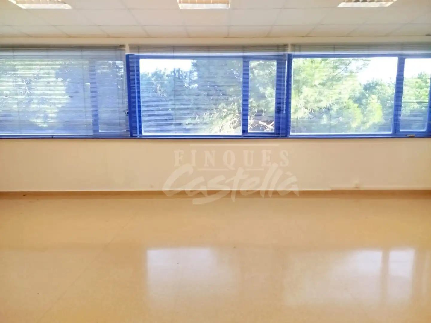 Oficina en alquiler en Pla d'en Boet