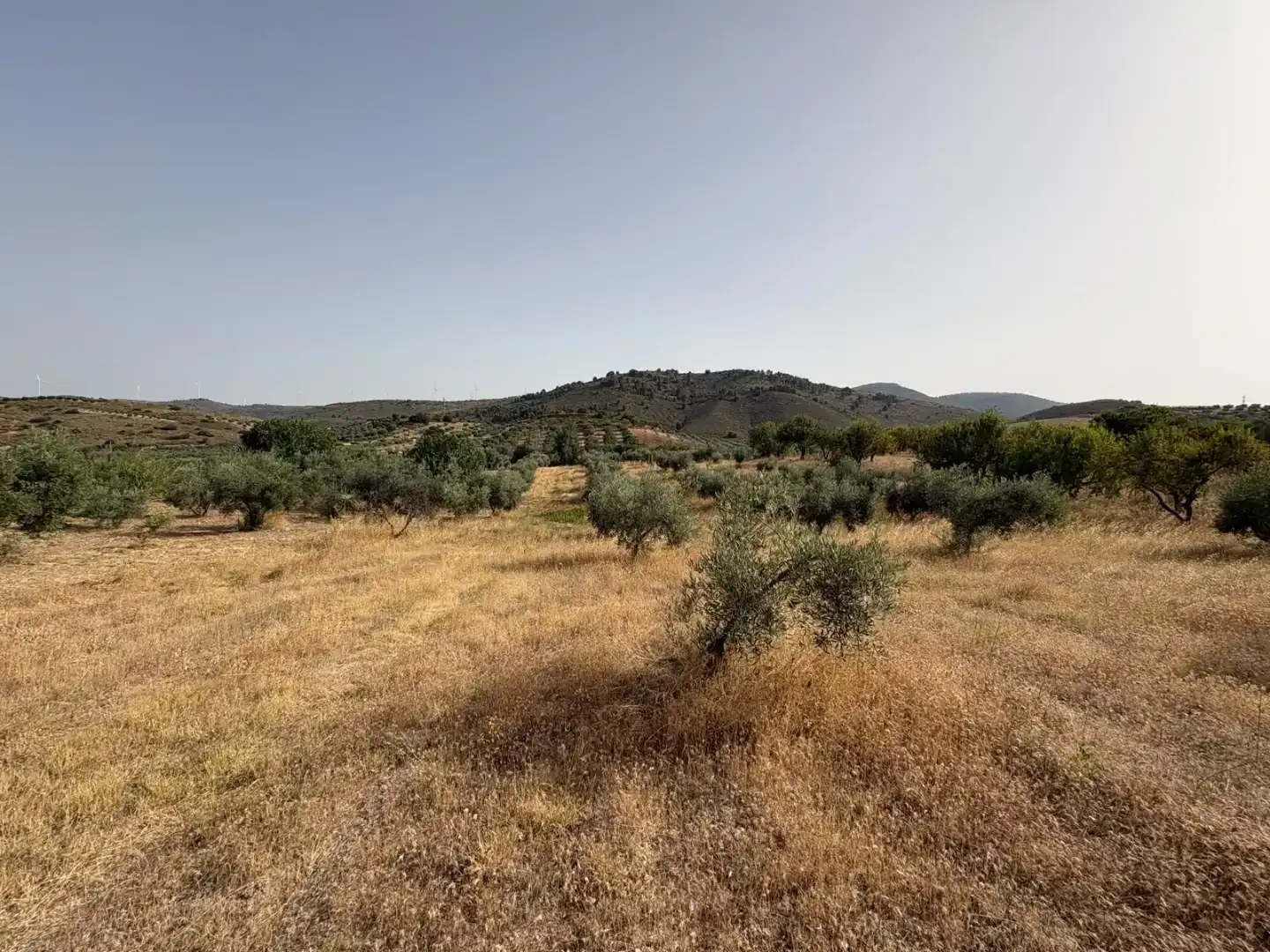 Pis en venda en Padul amb Jardí privat
