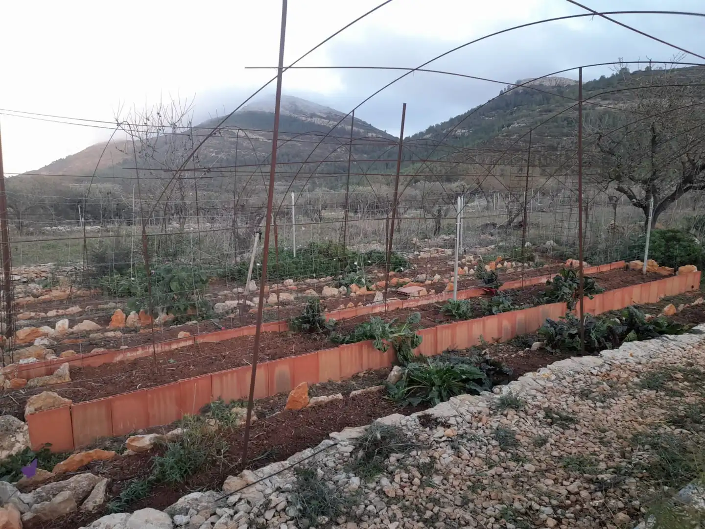 Jardín de Finca rústica en venta en Llíber con Amueblado