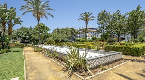 ¡Vive el Sueño Mediterráneo en La Dama de Noche!, imatge 3