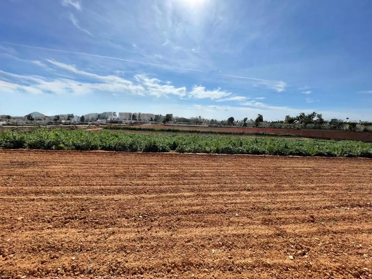 Residential land for sale in Marítima Sud, imagen 6