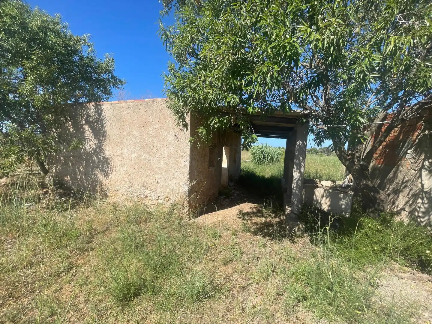 Land for sale in Alcalà de Xivert
