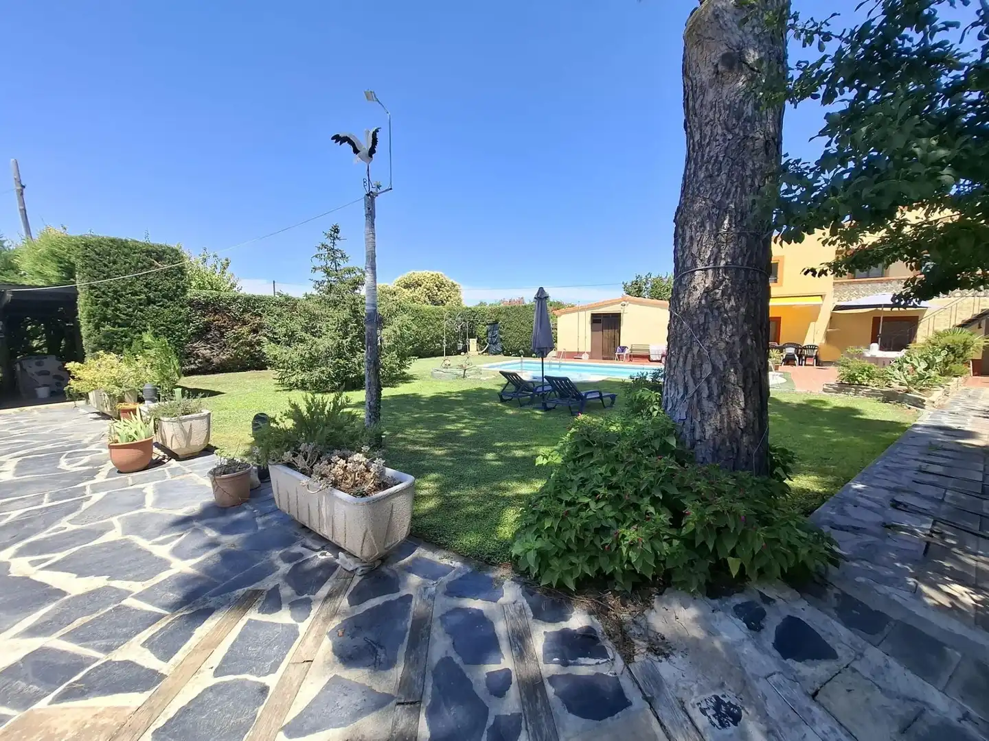 Finca rústica en venta en Tarazona