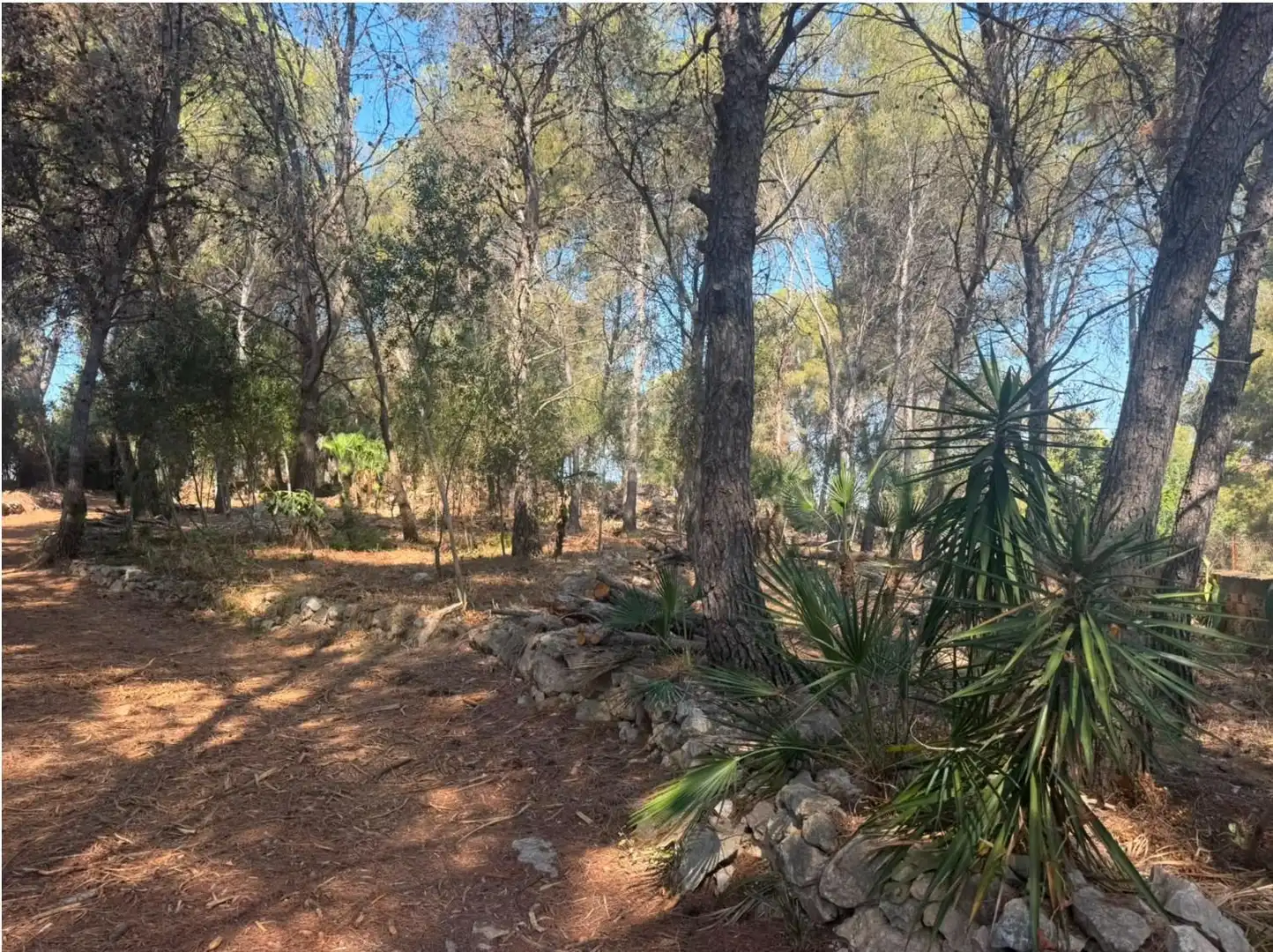 Piso en venta en Cunit