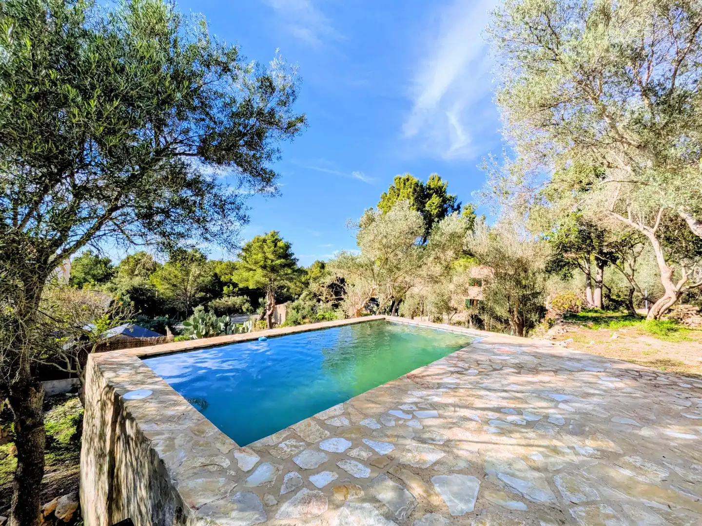 Piscina de Casa adosada en venta en Valldemossa