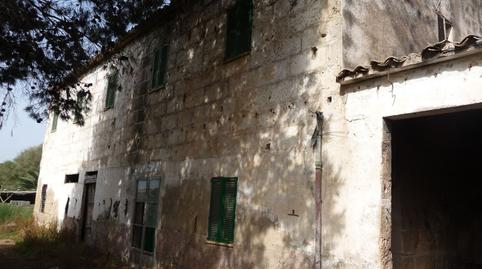 Foto 4 de Finca rústica en venda a Son Ferriol, Illes Balears