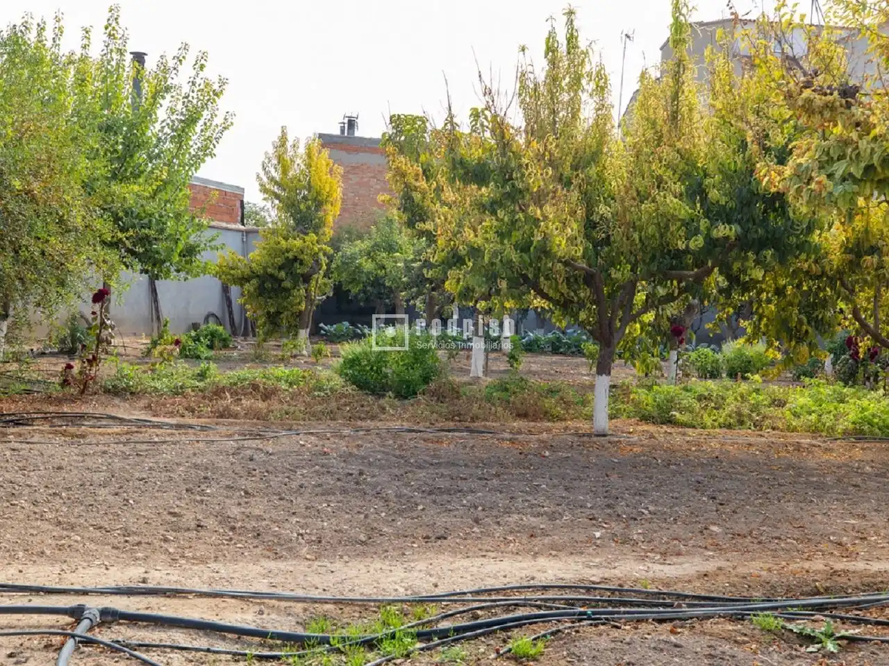 Casa o chalet en venta en Madridejos con Aire acondicionado, Calefacción y Terraza