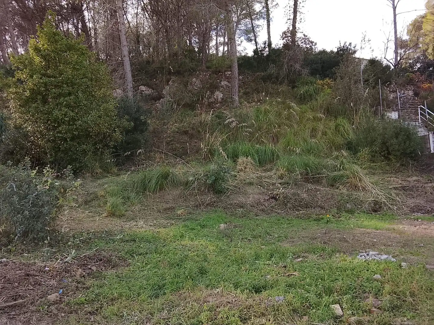 Terrain rustique à vendre à Puig Moltó - Can Macià, imagen 4
