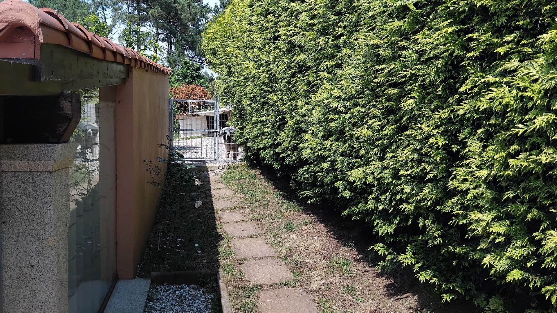 Jardí de Casa o xalet en venda en Ribeira amb Moblat