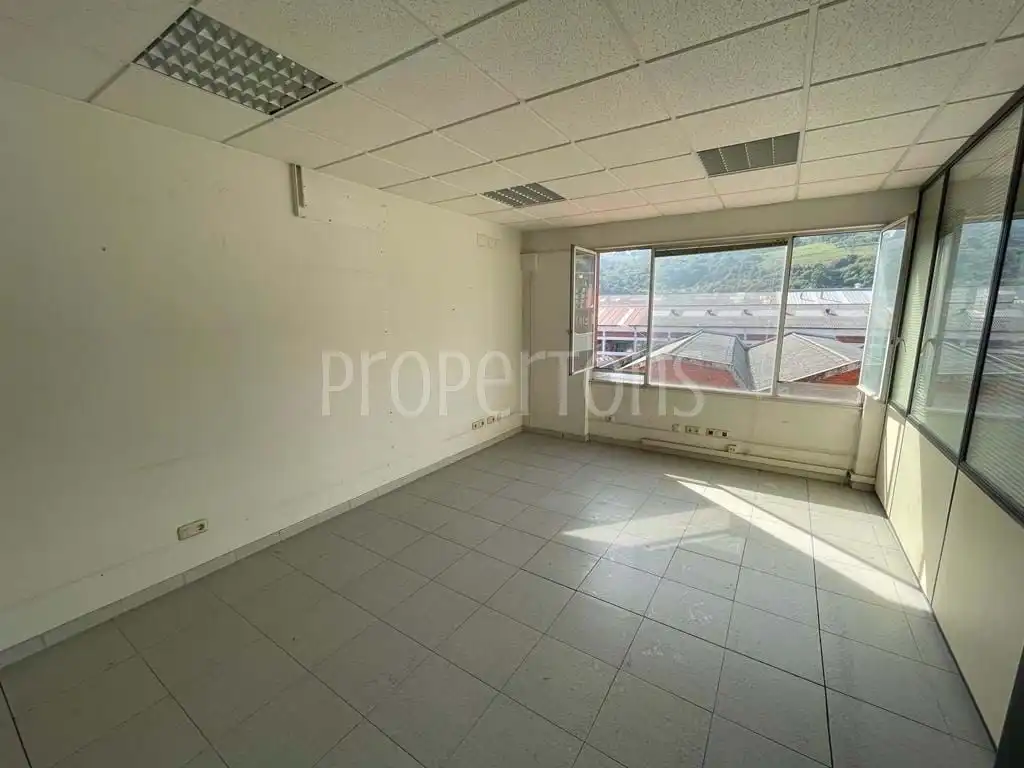 Büro zur Miete in Valle de Trapaga-Trapagaran, imagen 4