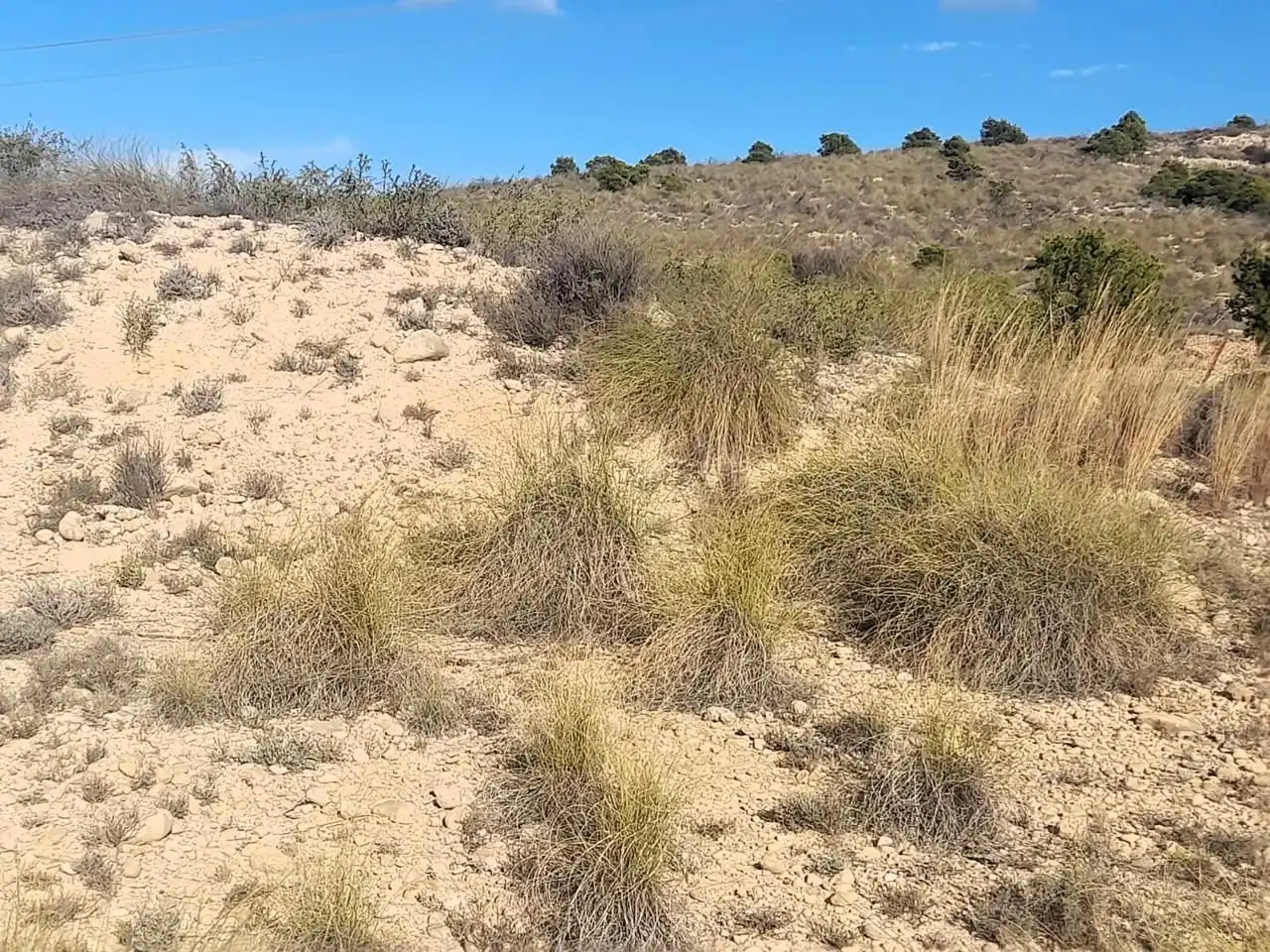 Terreno en venta en Elche / Elx