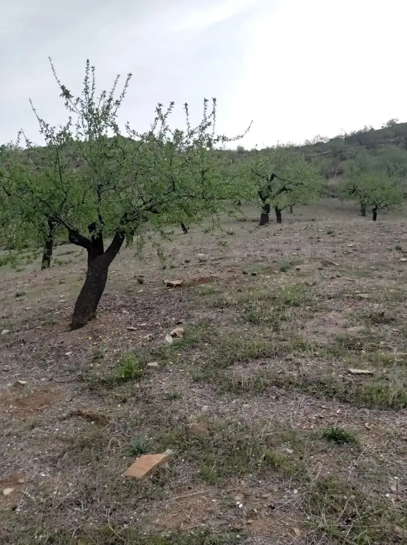 Terreni e lotti in vendita a Jete, imagen 7