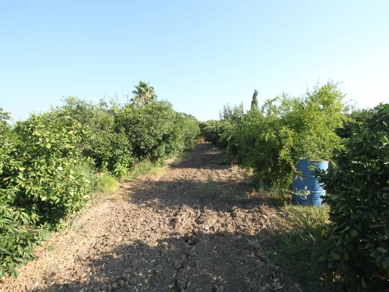 Terreno rustico in vendita a Calle Poniente 13, imagen 22