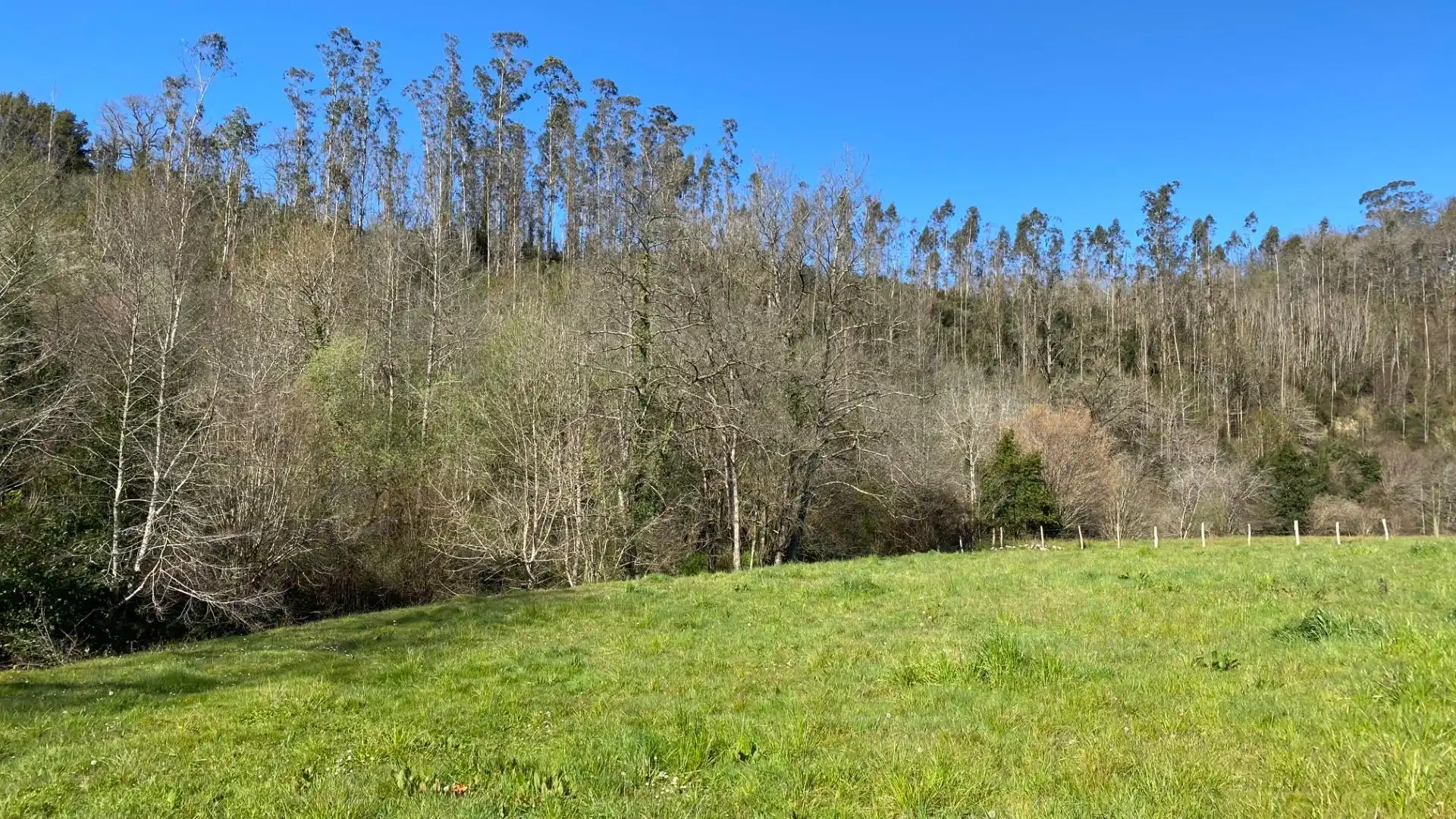 Terreni e lotti in vendita a Valdáliga, imagen 14