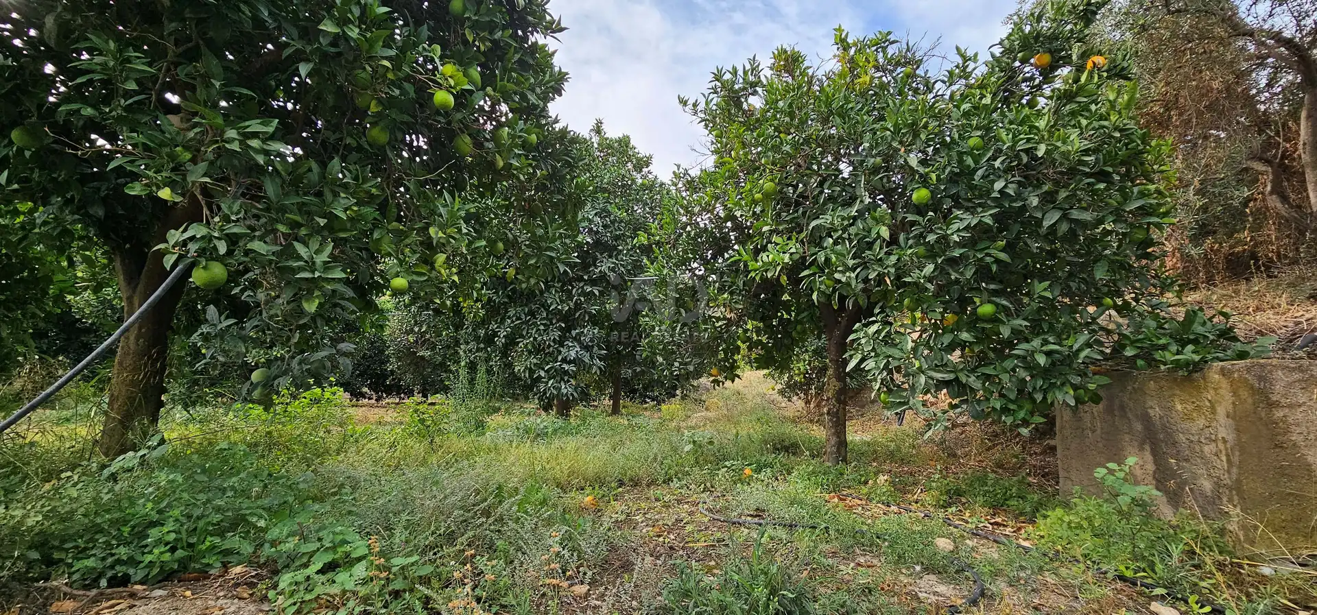 Residencial en venta en Íllar
