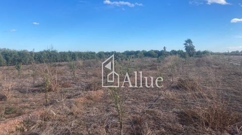 Foto 4 de Finca rústica en venda a Camino Ballester, Partida Caramit,poligono 3, 103, Piscinas, Burriana / Borriana