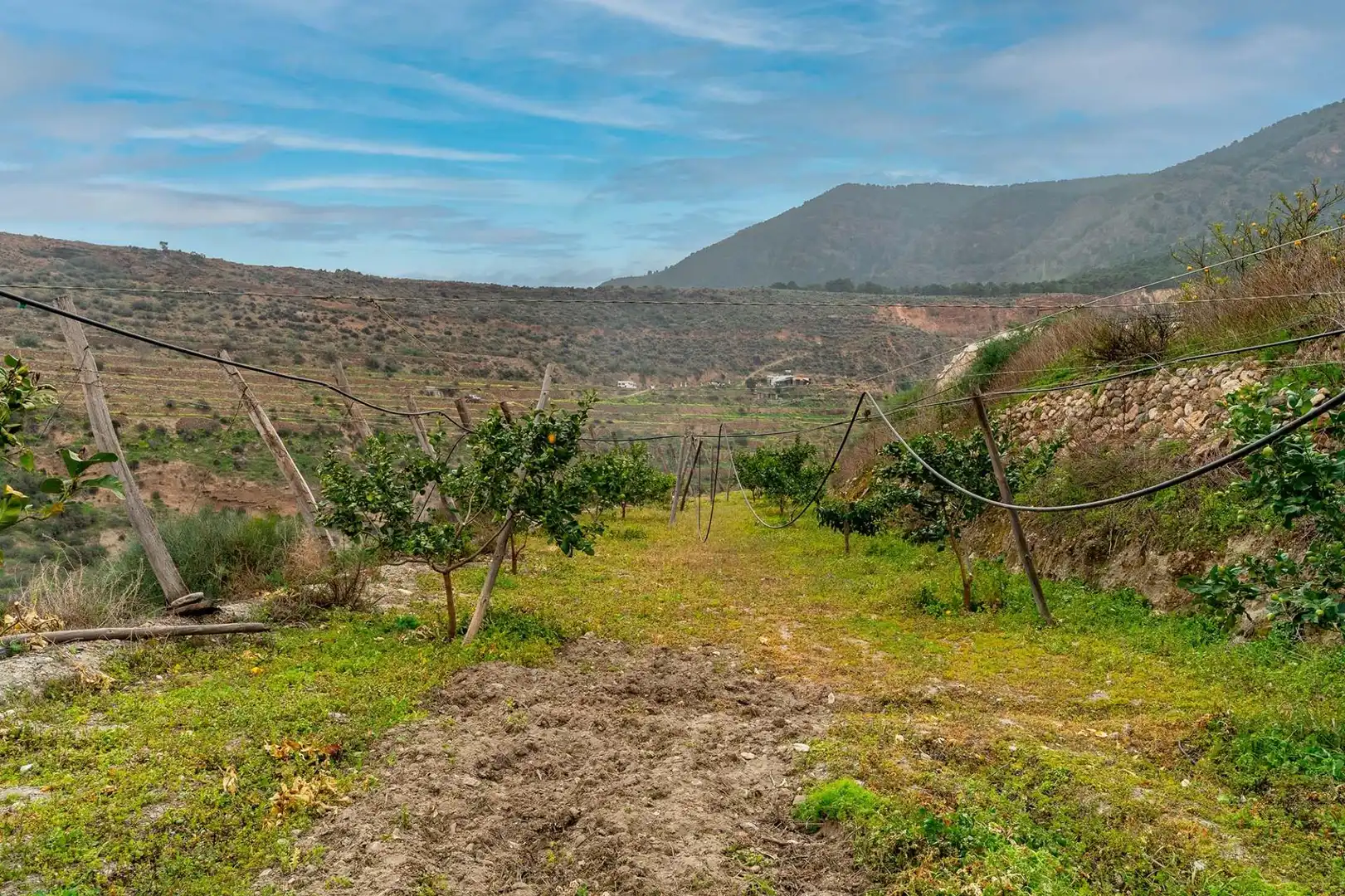 Terreno en venta en Canjáyar