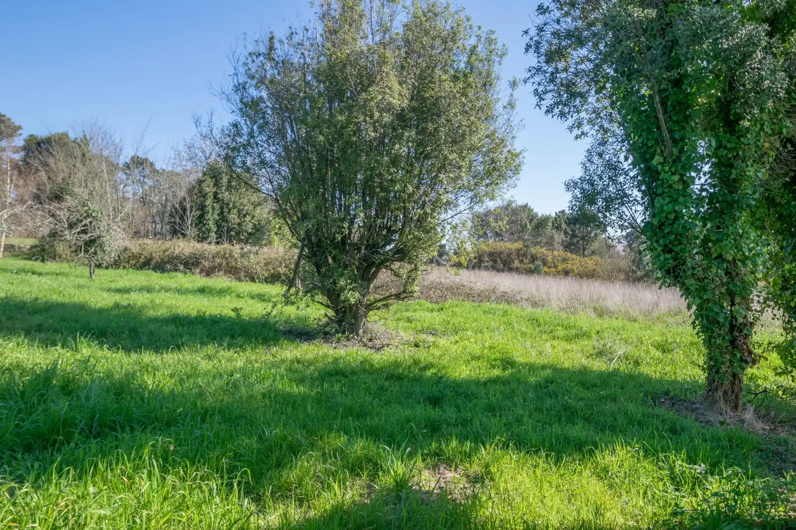 Casa o xalet en venda en Cambre  amb Jardí privat