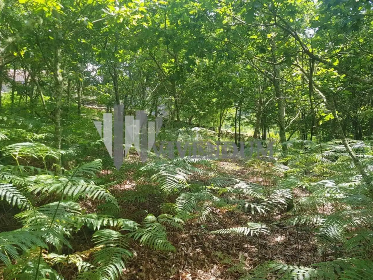 Residential for sale in A Lama  