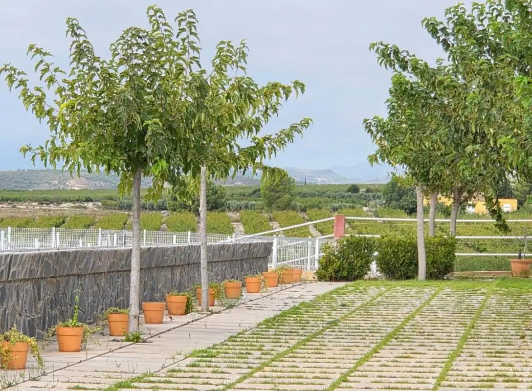 Residential land for sale in RM-714, imagen 3