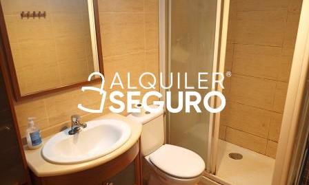 Foto 5 de Pis de lloguer a Mayor, Alegría-Dulantzi, Araba - Álava