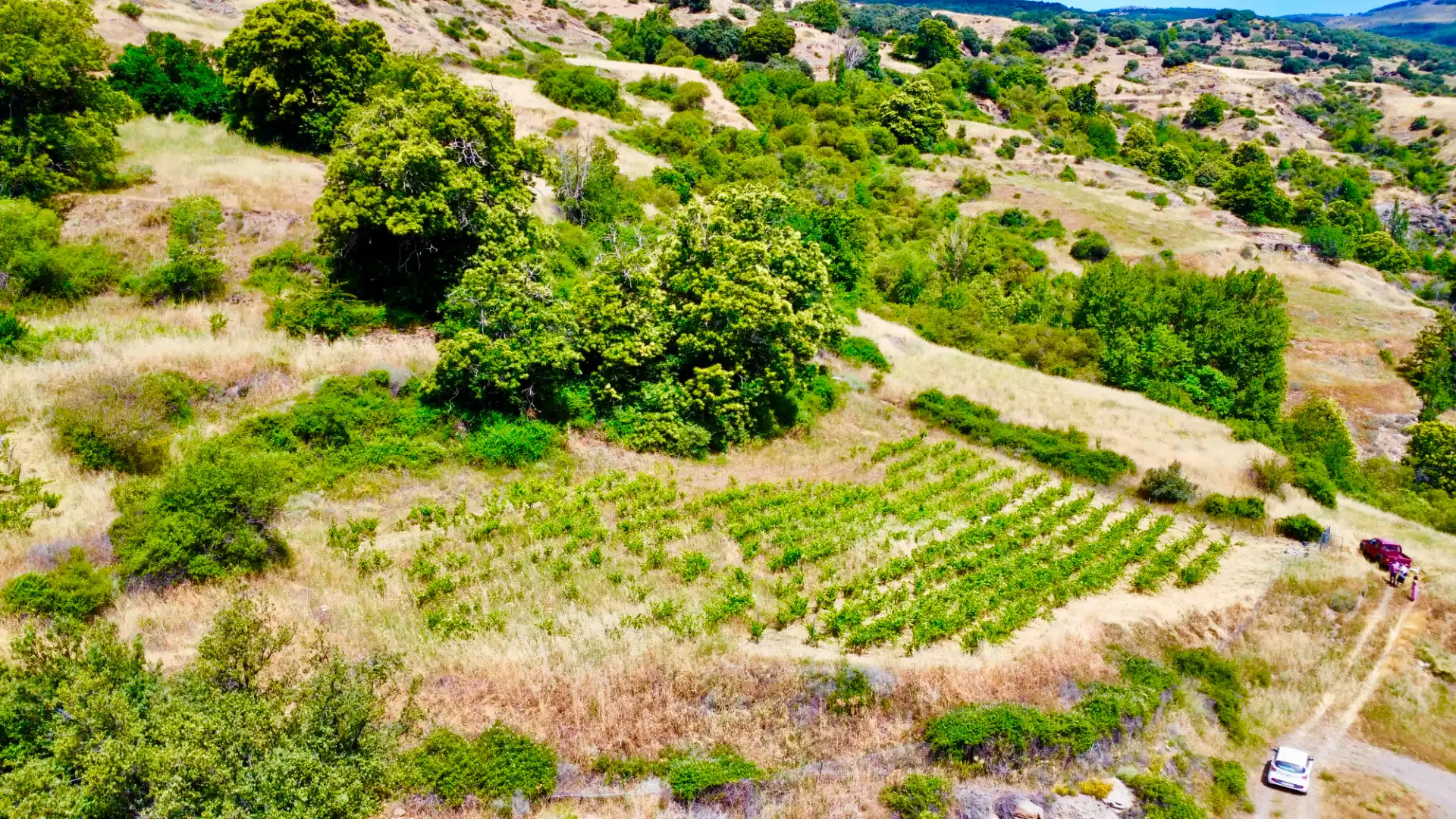 Terreni e lotti in vendita a Alpujarra de la Sierra, imagen 45
