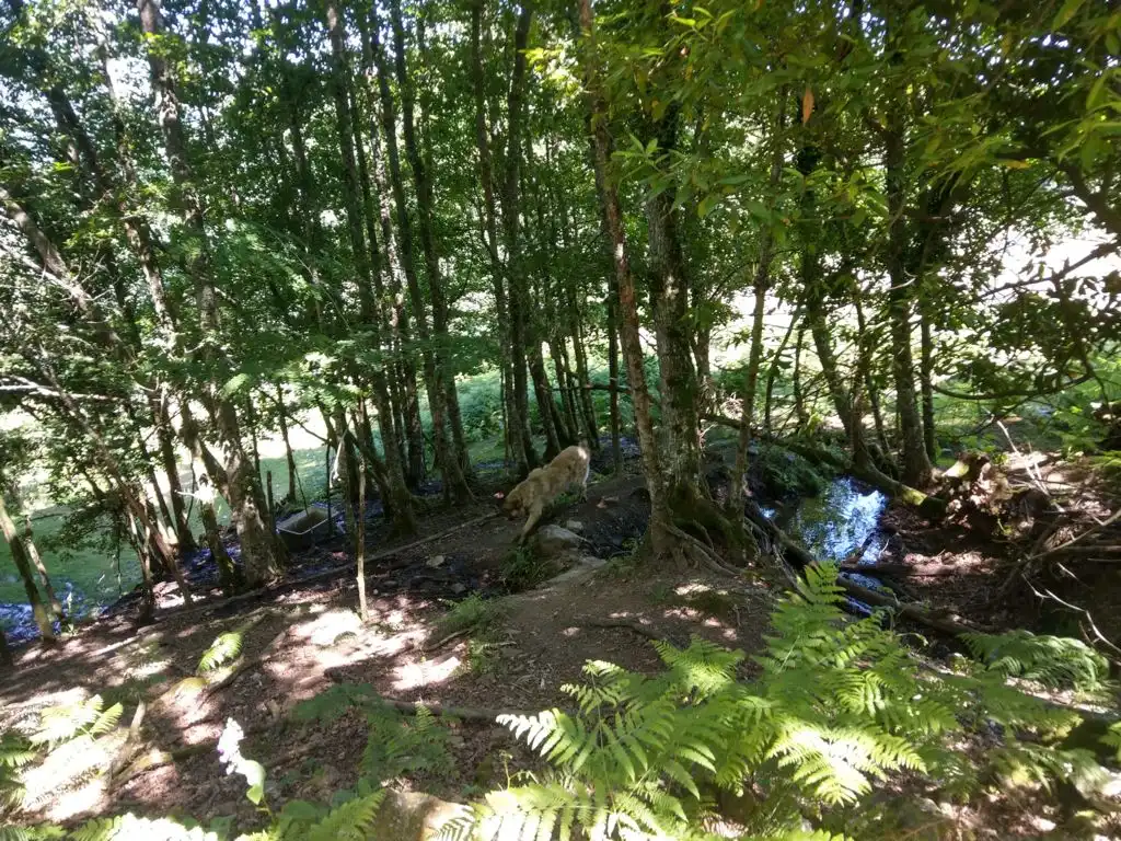 House for sale in Noveledo, imagen 19