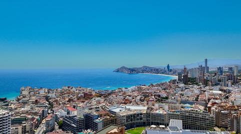 Photo 5 of Premises to rent in Juzgados - Plaza de Toros, Alicante