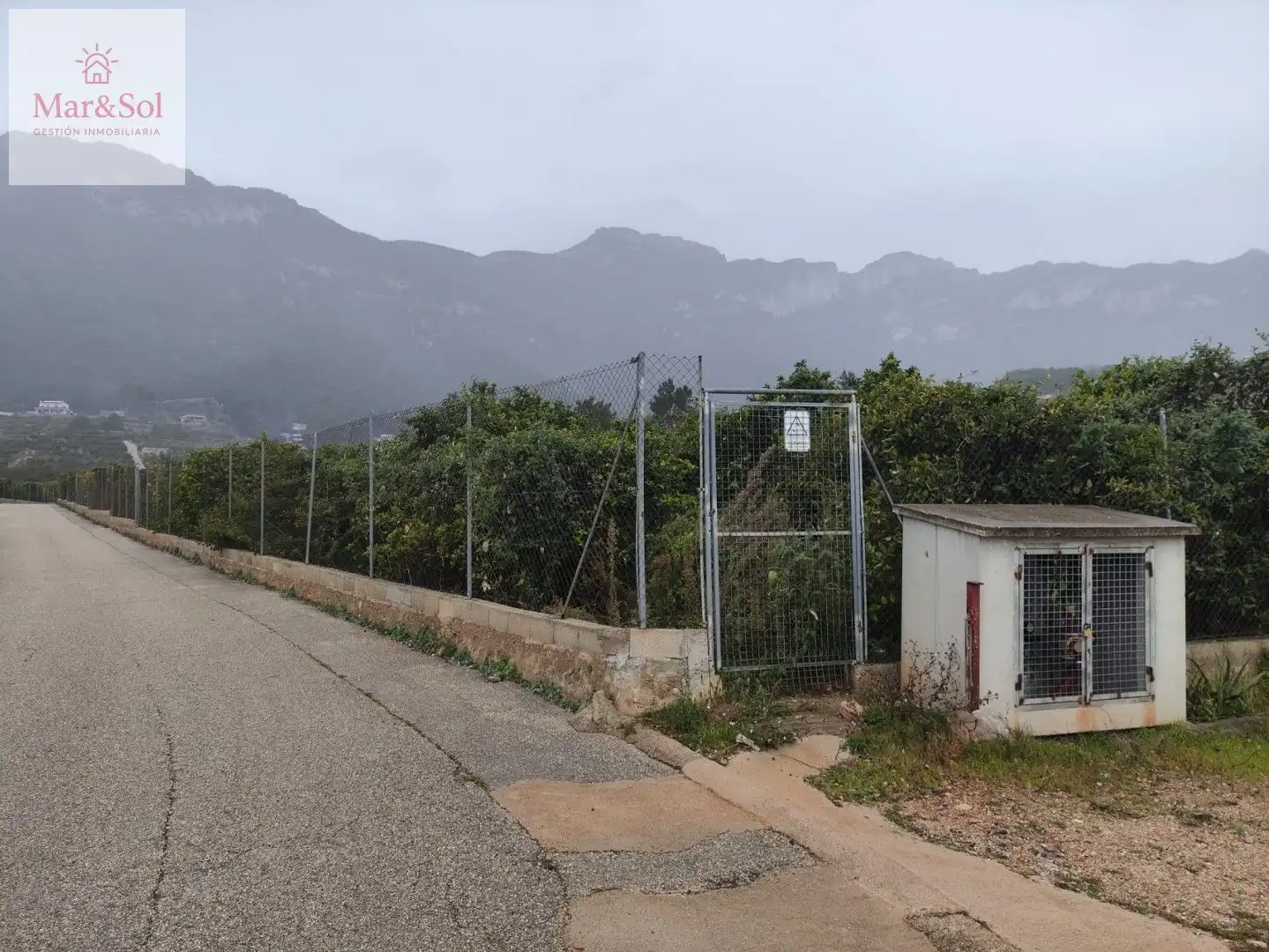 Terreny rústic en venda a Llaurí, imagen 4