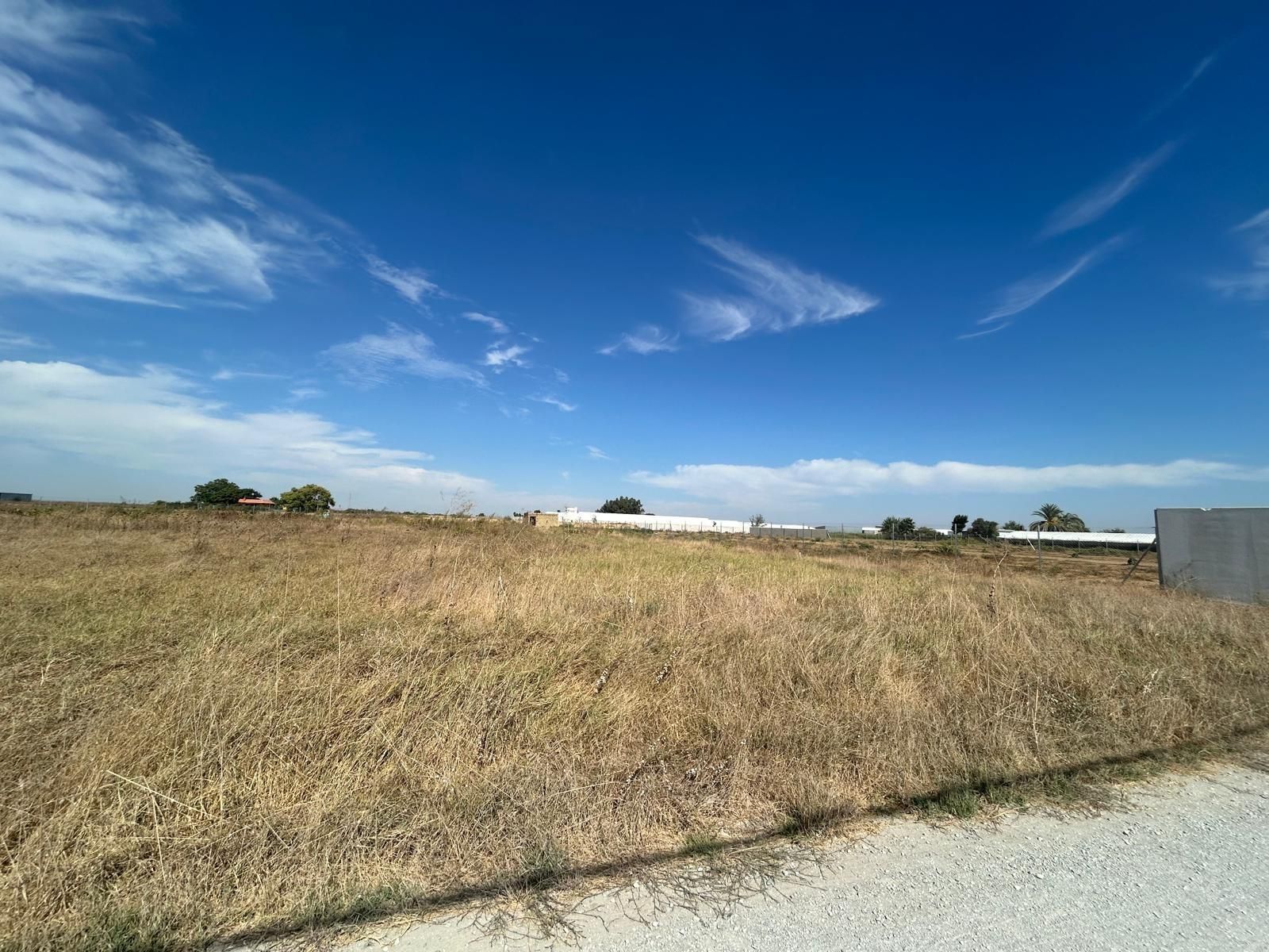Land for sale in Los Palacios y Villafranca