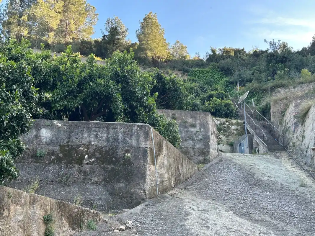 Vista exterior de Finca rústica en venda en Oliva amb Moblat