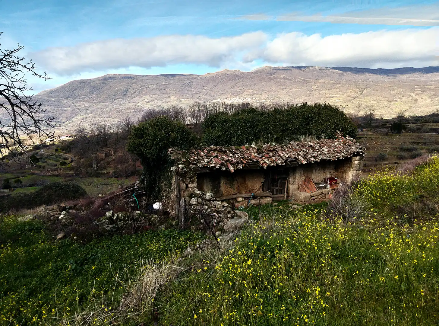 Garden of Land for sale in Casas del Castañar