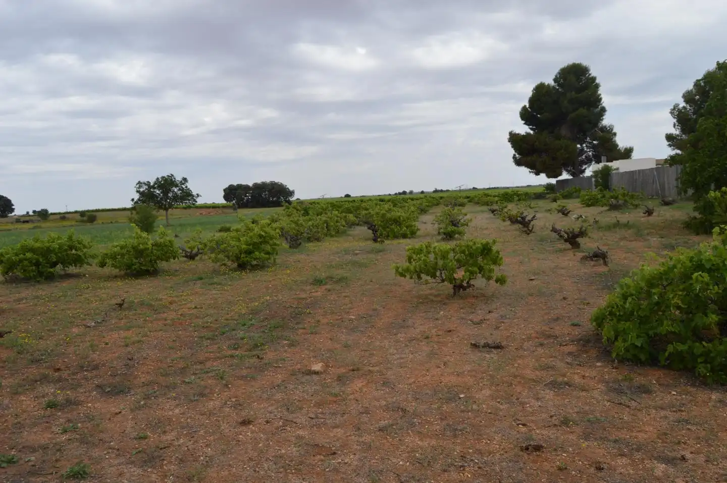Terreni e lotti in vendita a Paraje Pozo Duende, imagen 7
