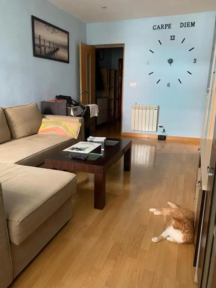 Piso en venta en Núñez De Balboa, Caballería Española