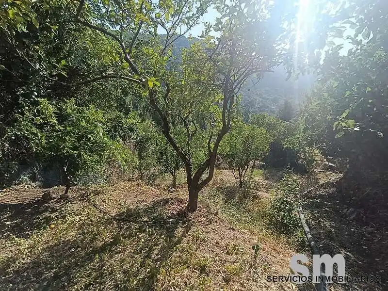 Residential land for sale in Grazalema, imagen 18