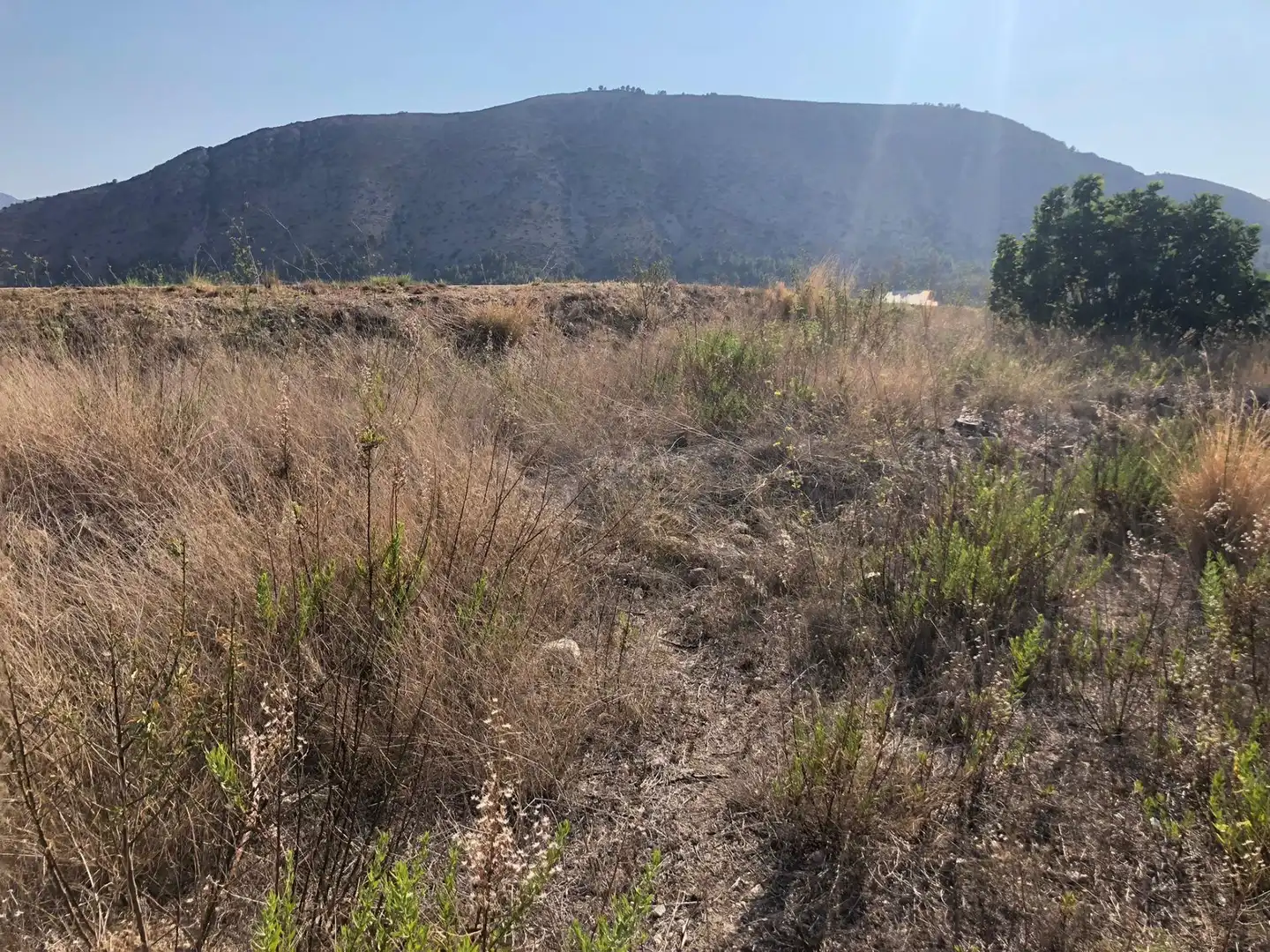 Land for sale in Bolulla