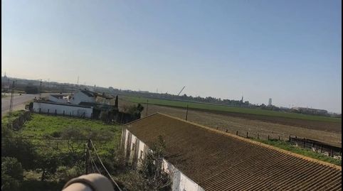 Foto 3 de Finca rústica en venda a Carretera Sevilla, 3, San Jerónimo - La Bachillera, Sevilla Capital