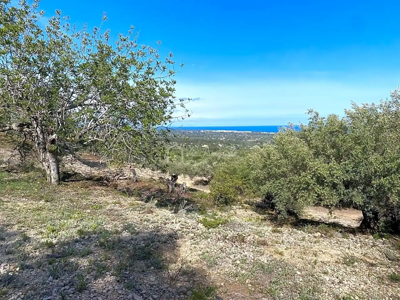 Terreno rustico in vendita a Puig Moltó, imagen 7