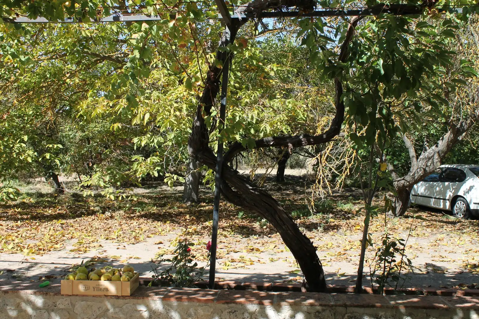 Casa rústica amb piscina en venda a Partidas Norte, imagen 69