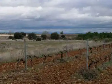 Terreni e lotti in vendita a Chozas de Abajo, imagen 2