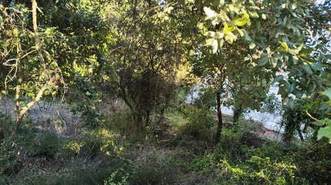 Parcela a la venta en Selvabrava, immagine 4